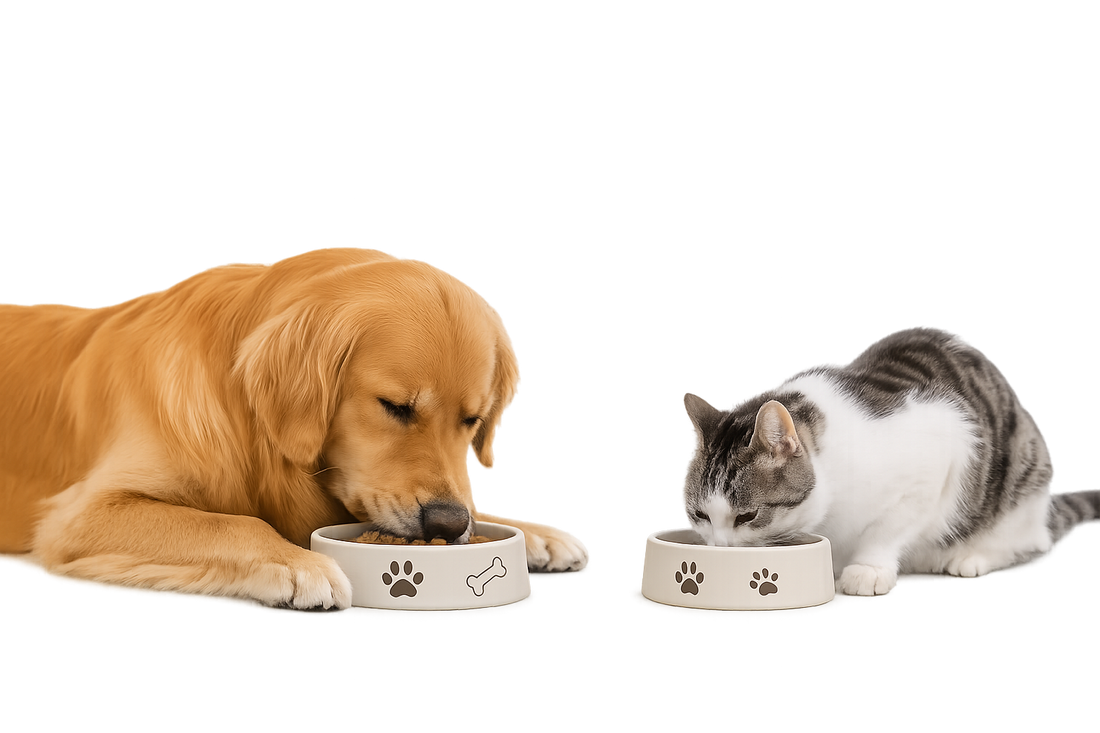 Why Natural Pet Treats Are Becoming More Popular